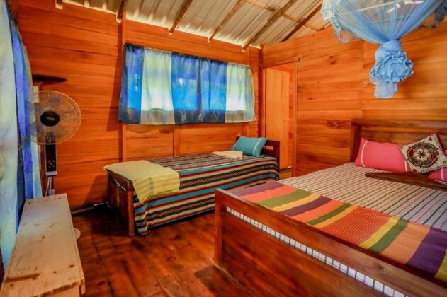 Sea View Tree Lodge - Photo5