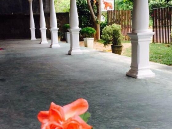 Tamasha Mango House - Photo2