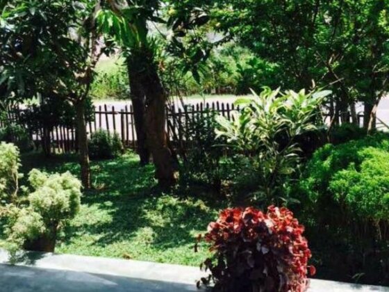 Tamasha Mango House - Photo4