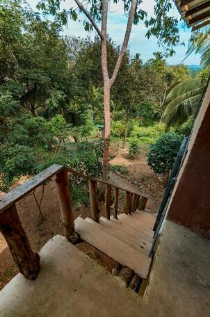 Uma's Tree Shack - Photo3