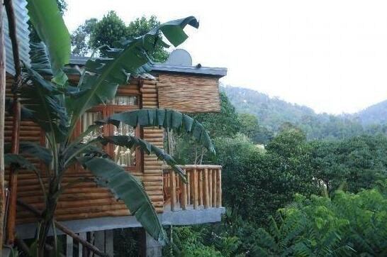 Country Homes - Photo2
