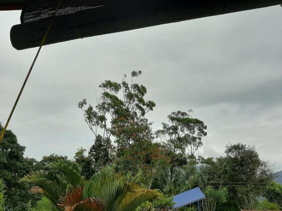 Dhanudi Homestay - Photo5