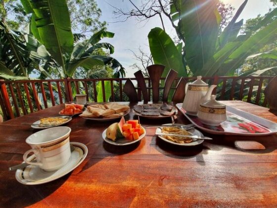 Eco Diamond Palace - Photo3