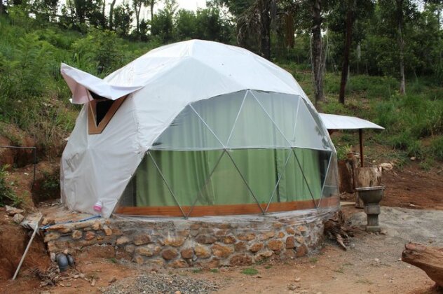 Ella Eco Domes - Photo2