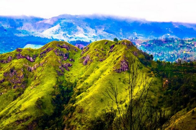 Ella Eco Domes - Photo3