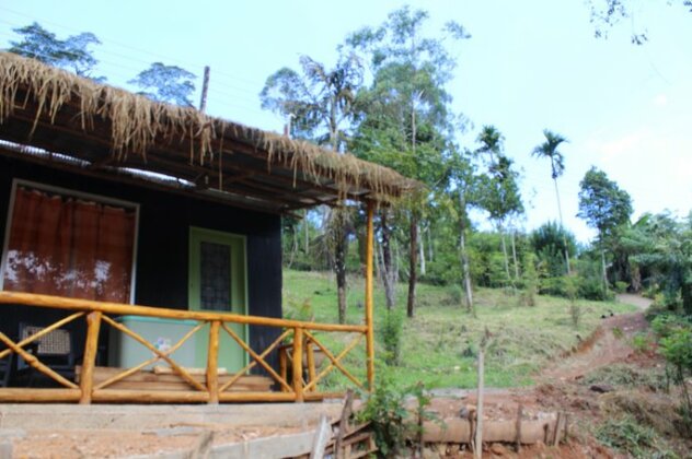 Ella Eco Domes - Photo4