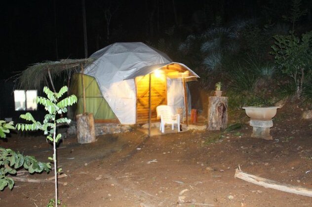 Ella Eco Domes - Photo5