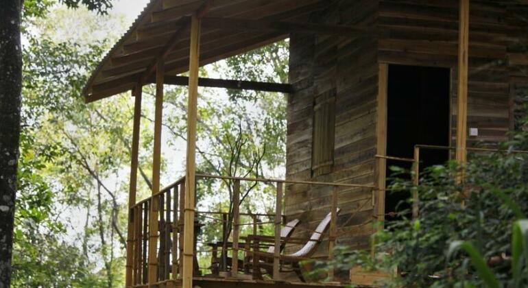 Ella Ecolodge - Photo2