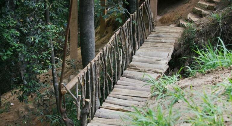 Ella Ecolodge - Photo5