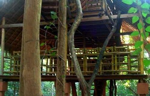 Ella Jungle Inn - Photo4