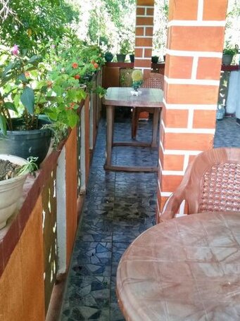 Forest Homestay - Photo3