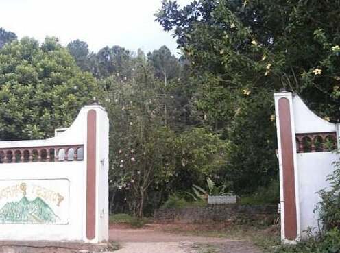 Forest Paradise - Photo2