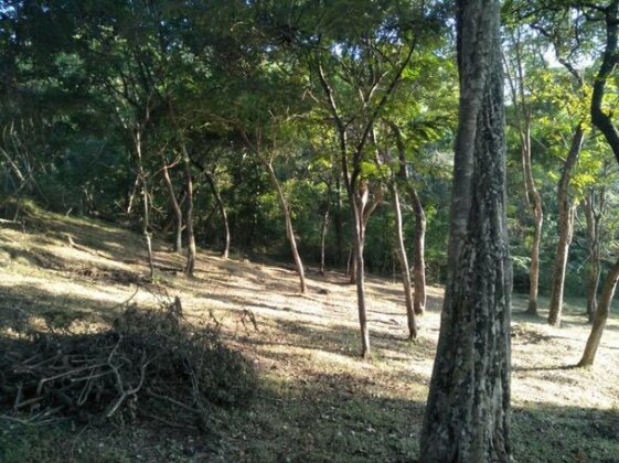 Forest Rest Ella - Photo2