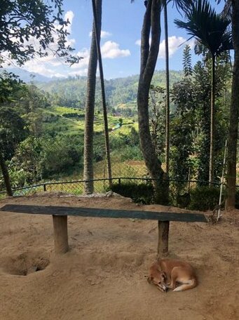 Happy Paws Paradise by Dogs Of Ella - Photo2