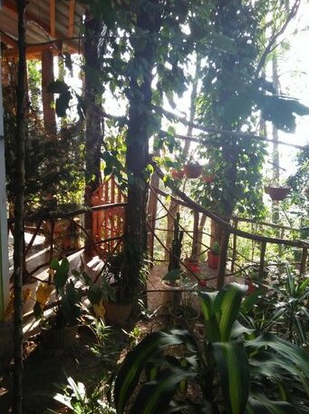 Rock Shine Resort - Photo3