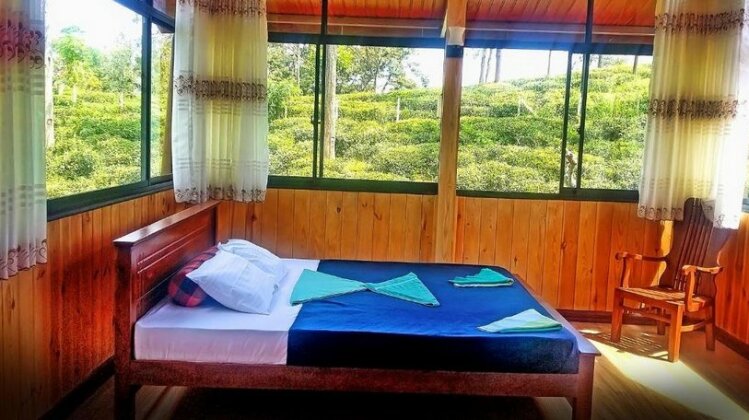 Tea Forest Lodge - Photo4