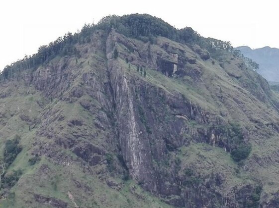 The Rock Face - Photo3