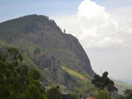 The Rock Face - Photo4