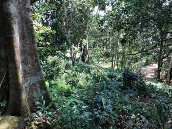 Hill Top Baddegama Villa - Photo4