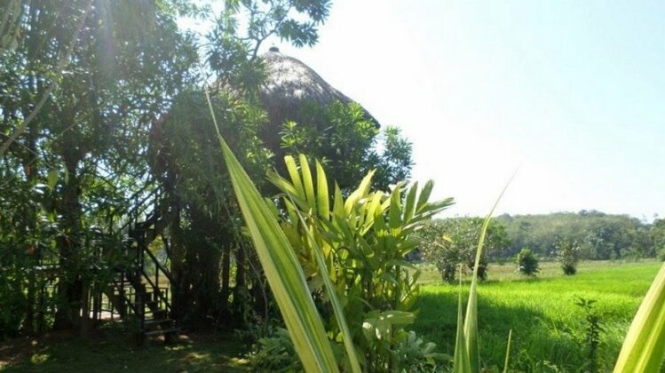 HUMA TERRA Green Lodge - Photo5