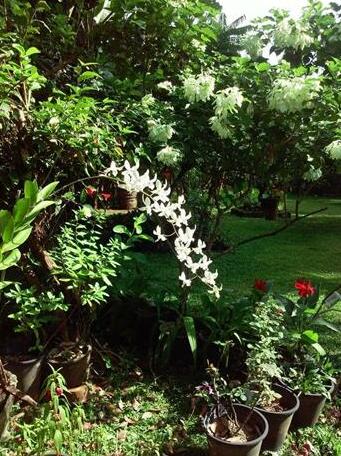 Samitha Guest House - Photo4