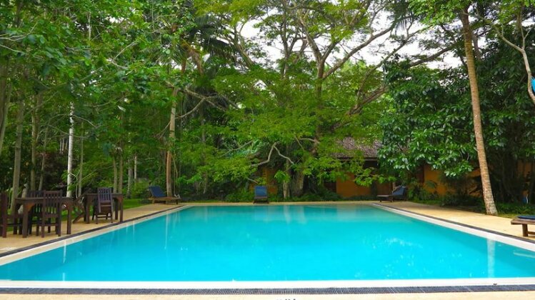 Bungalow Sud - Photo2