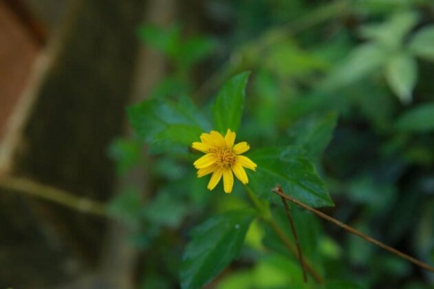 Limecabanas-srilanka - Photo2