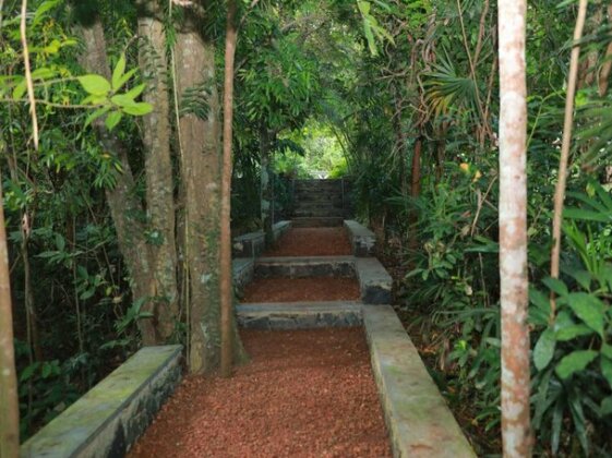 The Lush Habaraduwa - Photo4