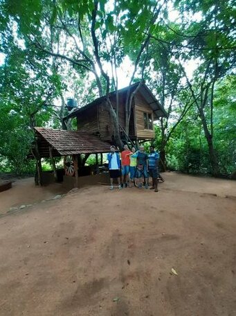 Caveman Lodge Treehouse