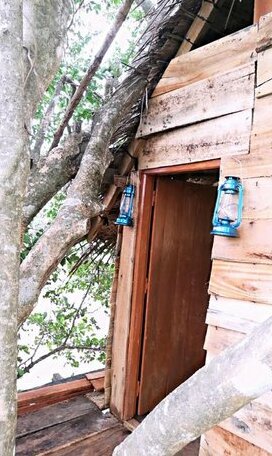 Habarana Eco Treehouse - Photo4