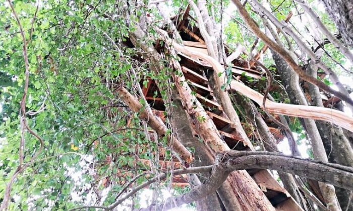 Habarana Eco Treehouse - Photo5