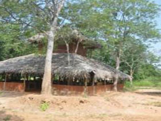 Hiriwadunna Lodge - Photo3