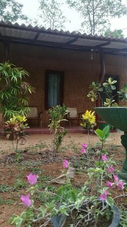 Isawwa Budget Hostel - Photo2