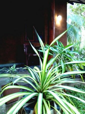 Orient Holiday Home - Photo5
