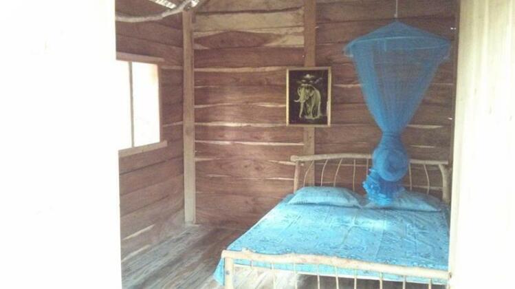 Treehuts - Photo2