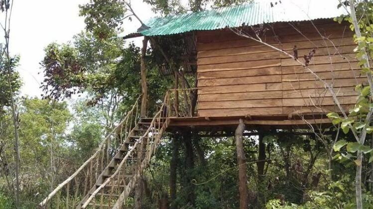 Treehuts - Photo3