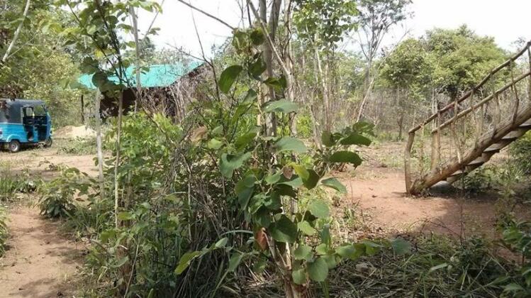 Treehuts - Photo4