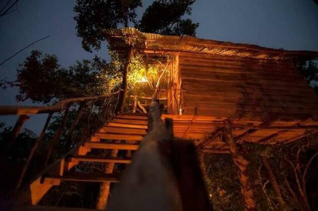 Treehuts - Photo5