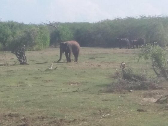 Amawin Resort - Photo5
