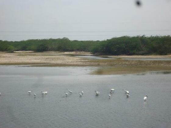 Sayonara Resorts - Photo5
