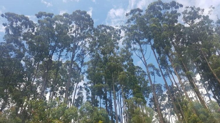 Adisham Forest Lodge Haputhale - Photo2