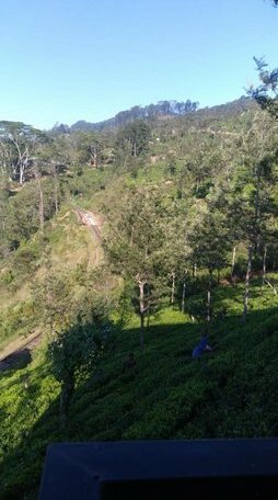 'Muthu View' Resort - Photo5