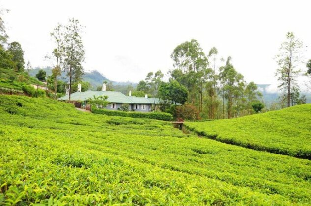Ireby Tea Resort - Photo3