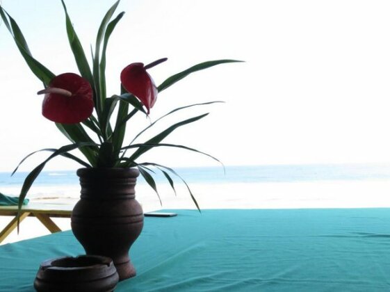 Mountain Wave Hotel and Surfshop - Photo5