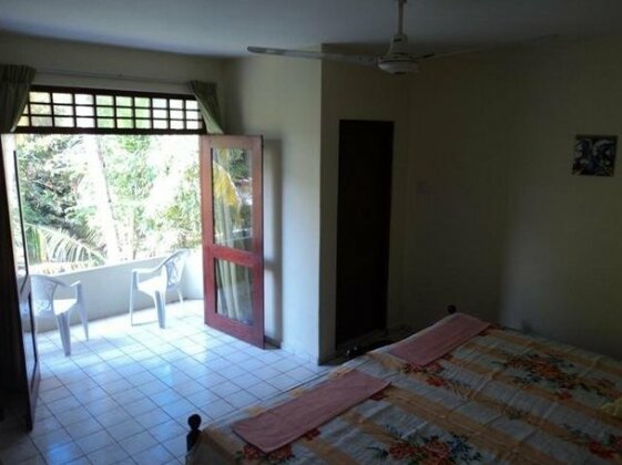 No395 - Photo2