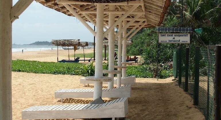 Thiranagama Beach Hotel - Photo4