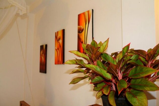 Villa 77 Hikkaduwa - Photo2