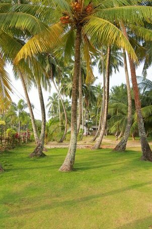 Villa Sea Breeze Hikkaduwa - Photo4