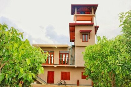 BoBo's Cinnamon Estate Duwabedda Sri Lanka