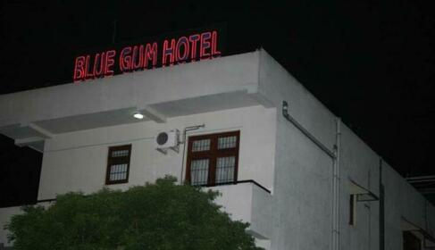 Blue Gum Hotel